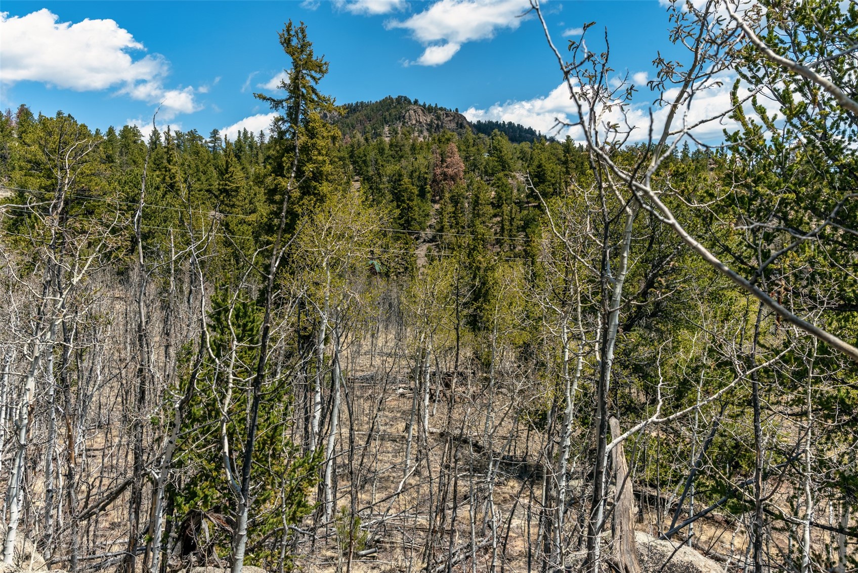 360 Musket Lane Como CO 80432