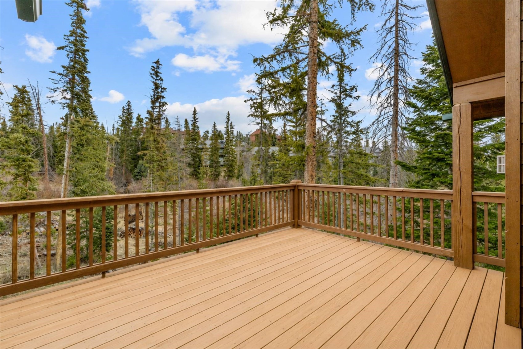 91795 Ryan Gulch Road Silverthorne CO 80498