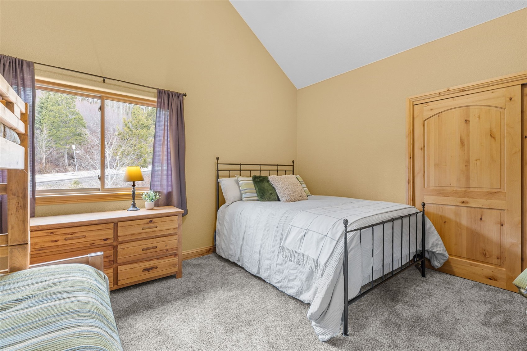 91795 Ryan Gulch Road Silverthorne CO 80498