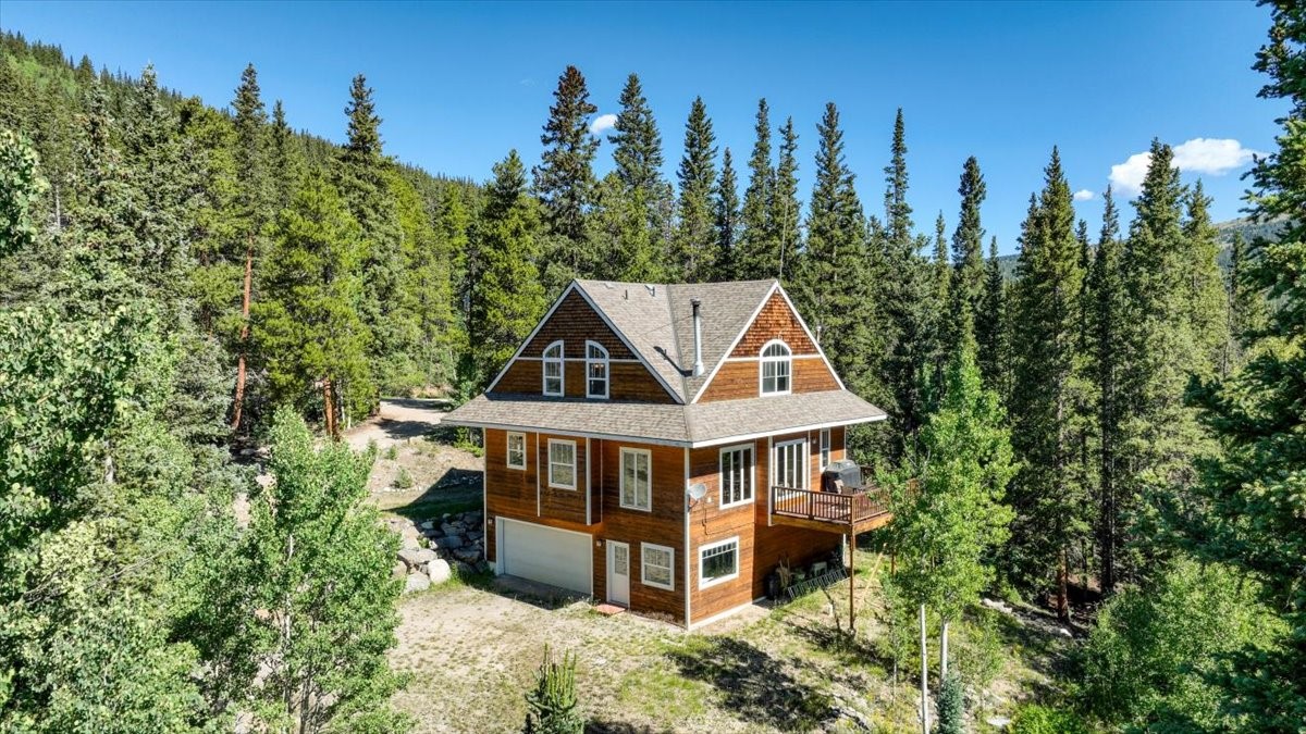 234 Peterson Drive Alma CO 80420
