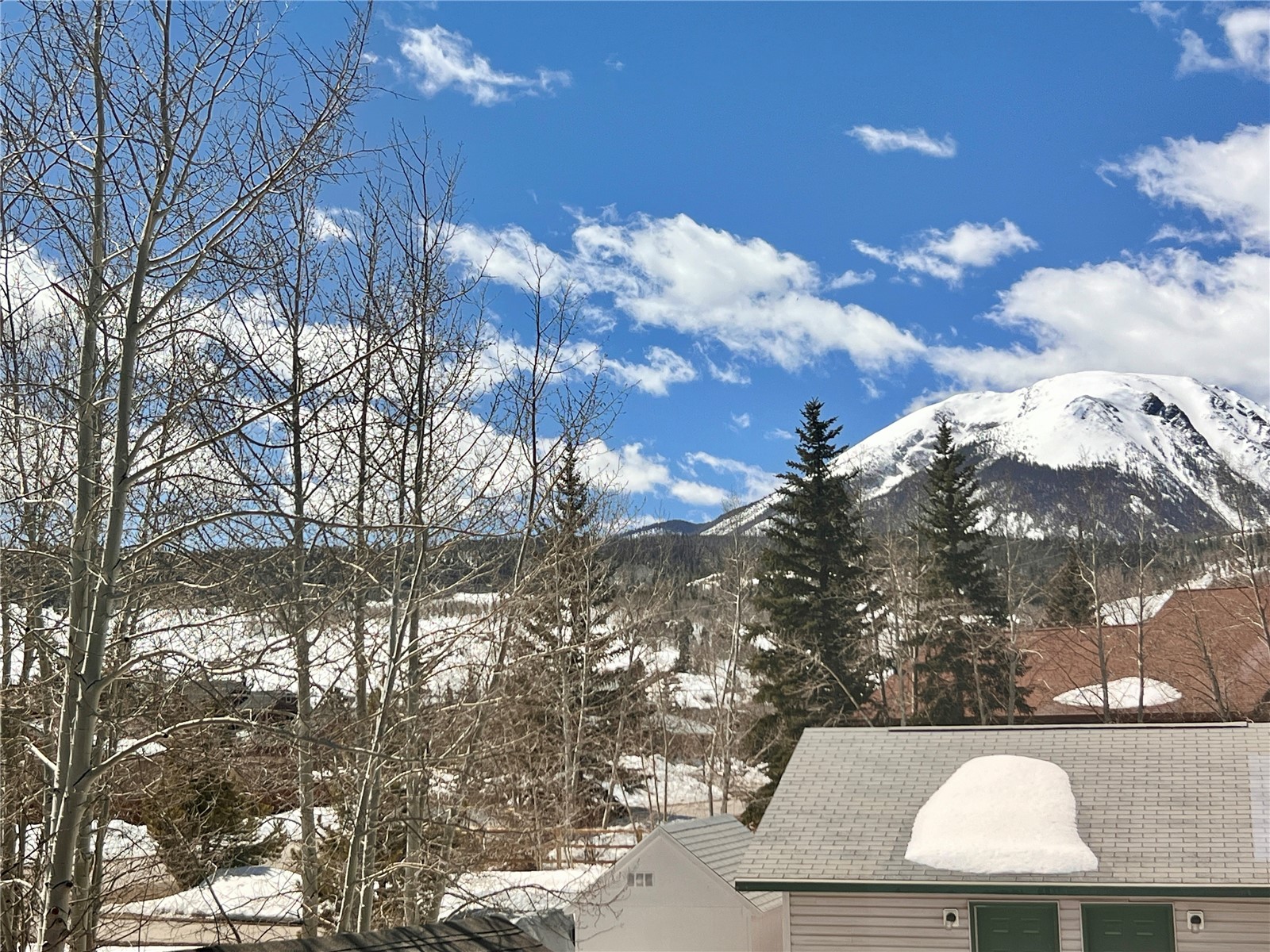 1121 Rainbow Drive Silverthorne CO 80498