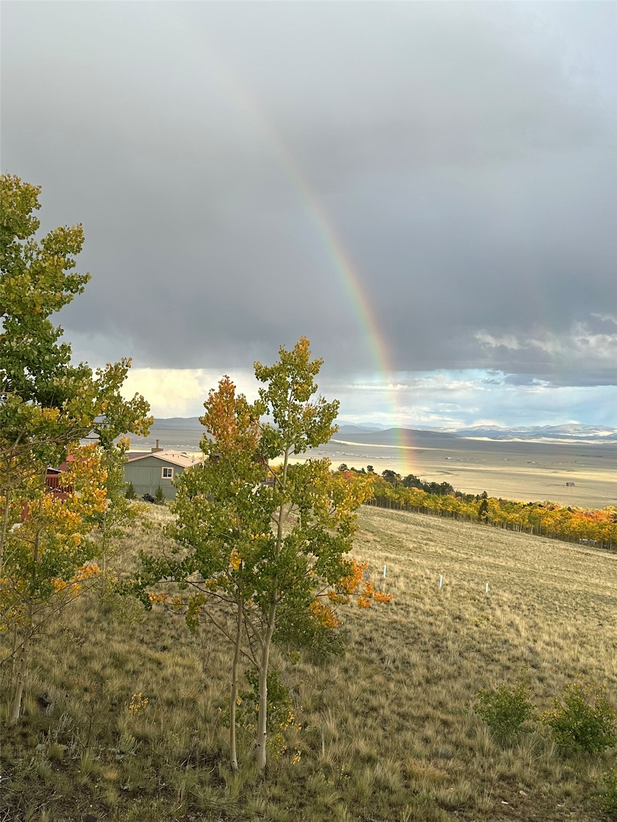 612 Sheep Ridge Road Fairplay CO 80440