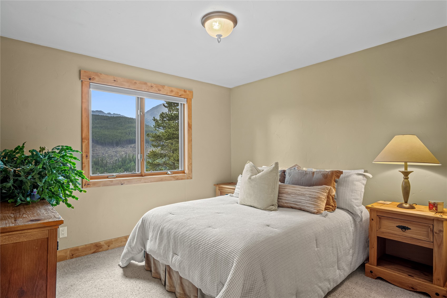 314 Coronet Drive Blue River CO 80424