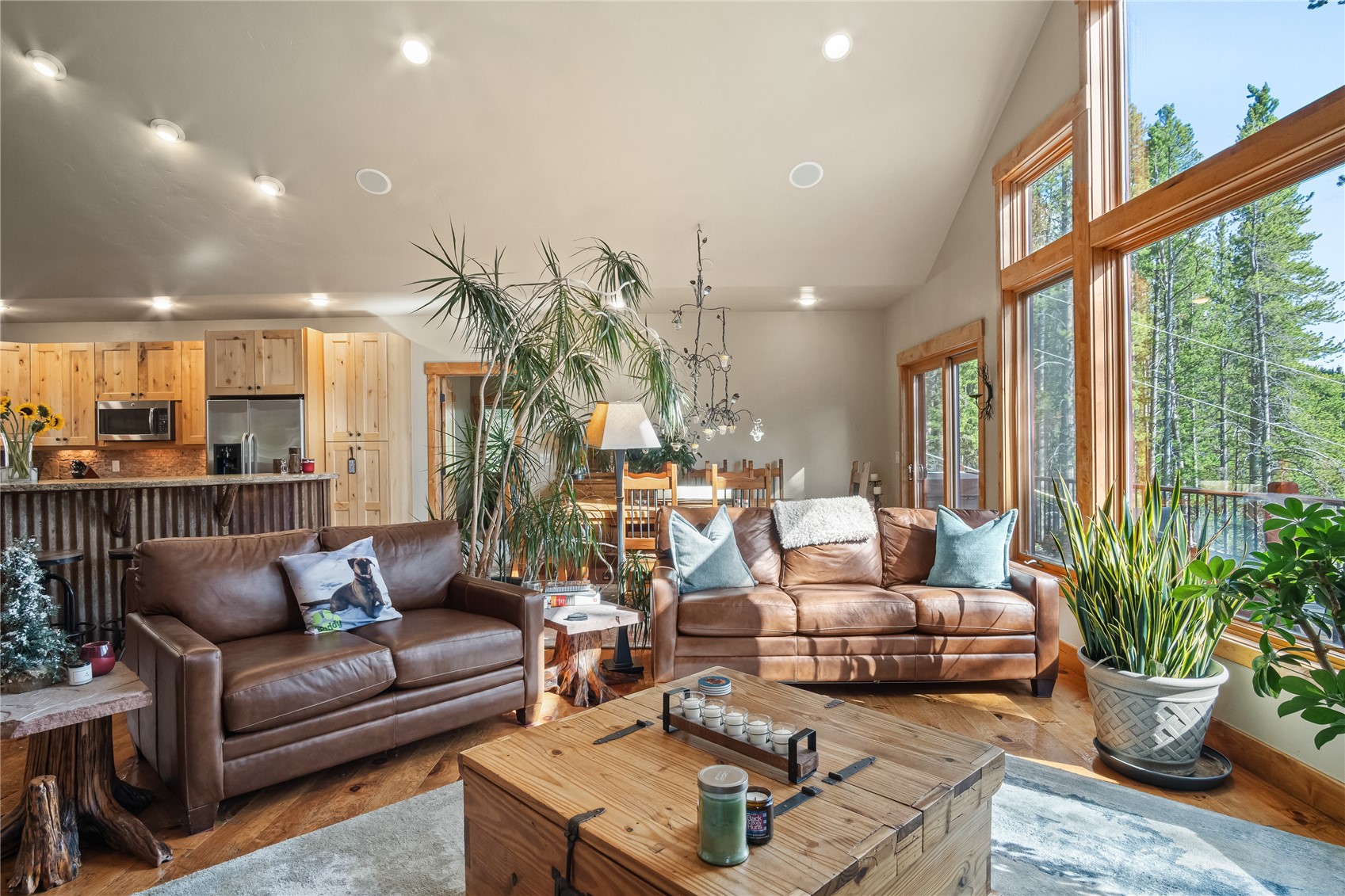 314 Coronet Drive Blue River CO 80424