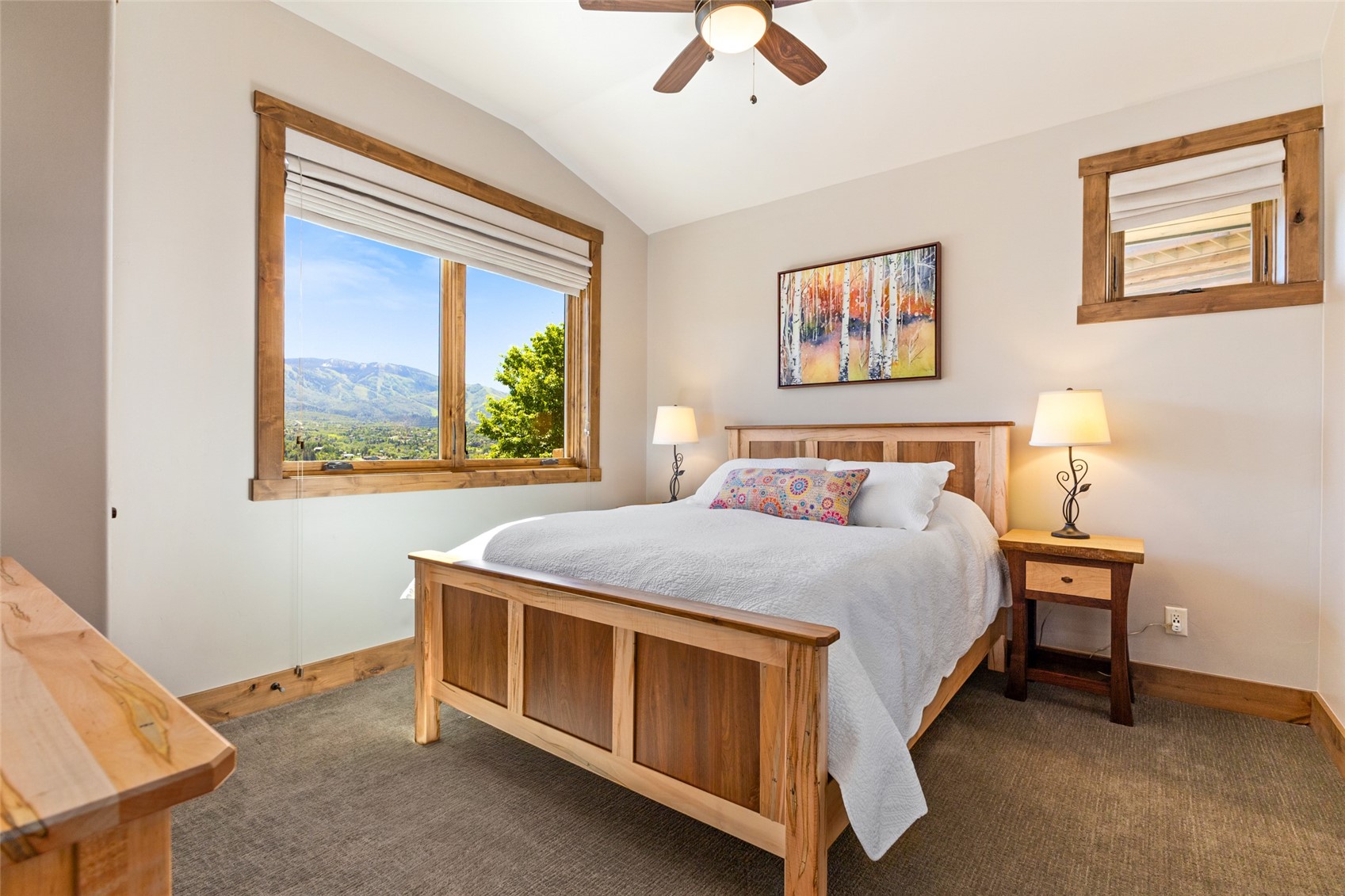 1218 Buckskin Court Steamboat Springs CO 80487