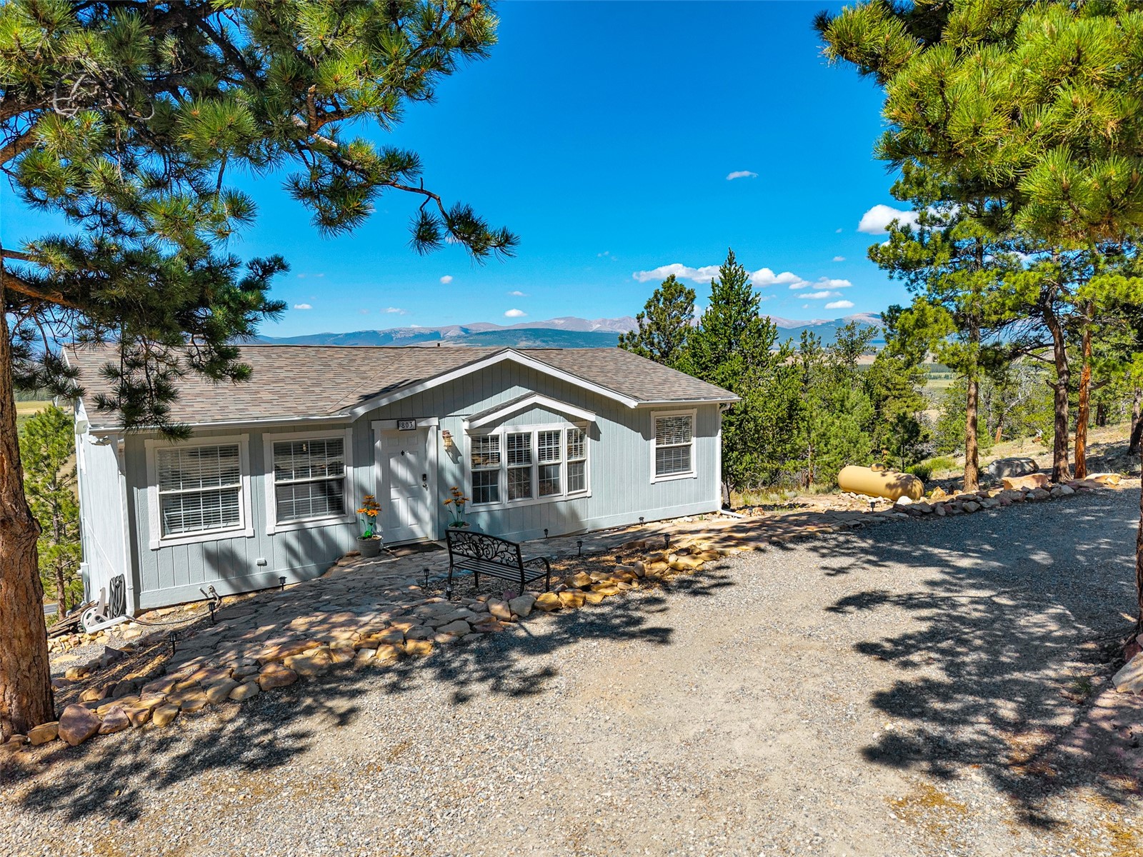 803 Bonell Drive Fairplay CO 80440