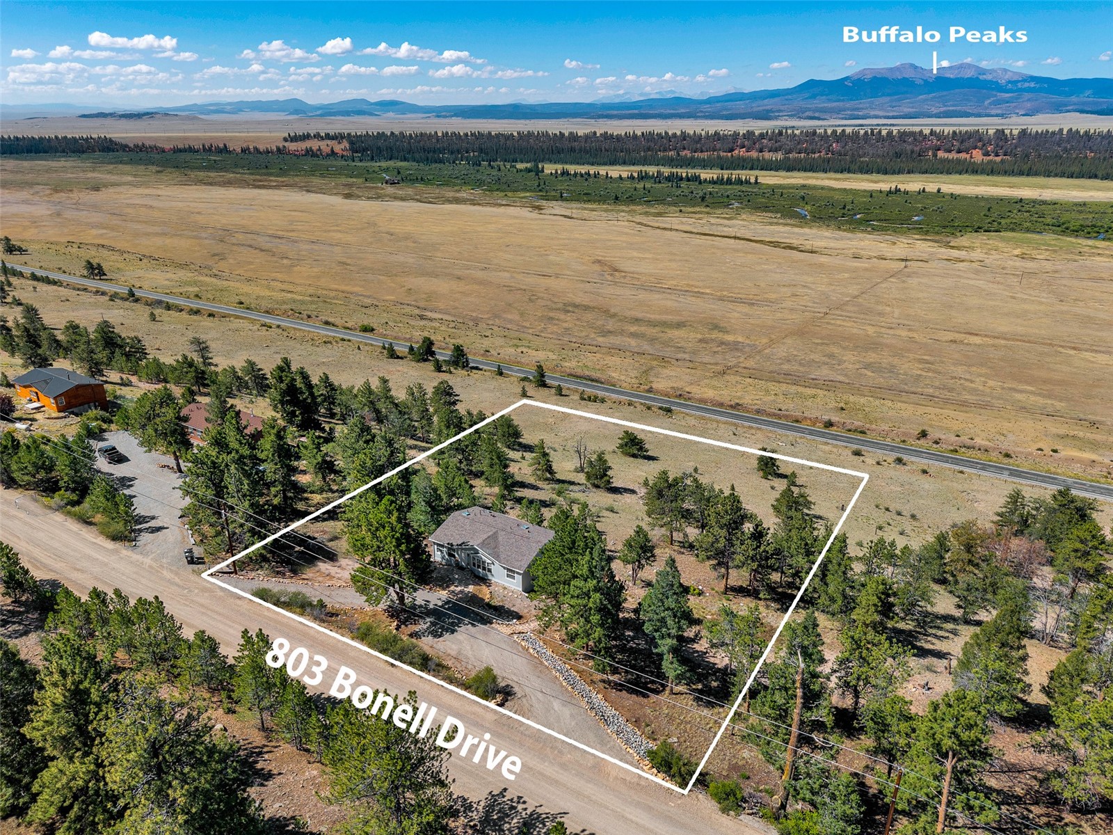 803 Bonell Drive Fairplay CO 80440