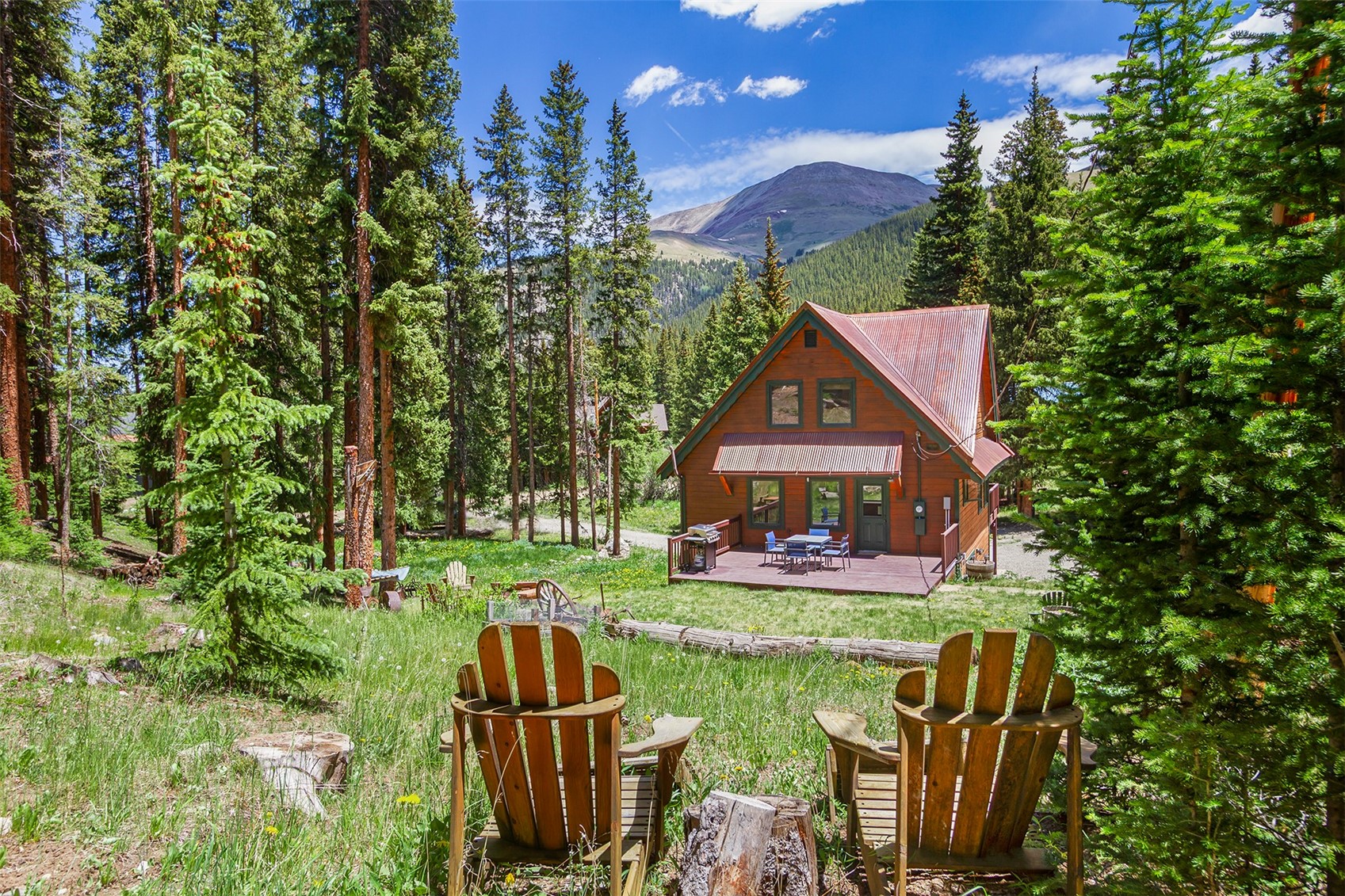 16 Bemrose Trail Blue River CO 80424