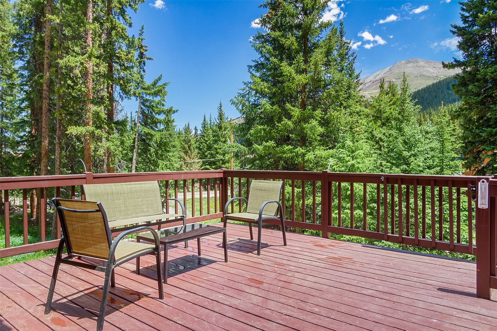 16 Bemrose Trail Blue River CO 80424