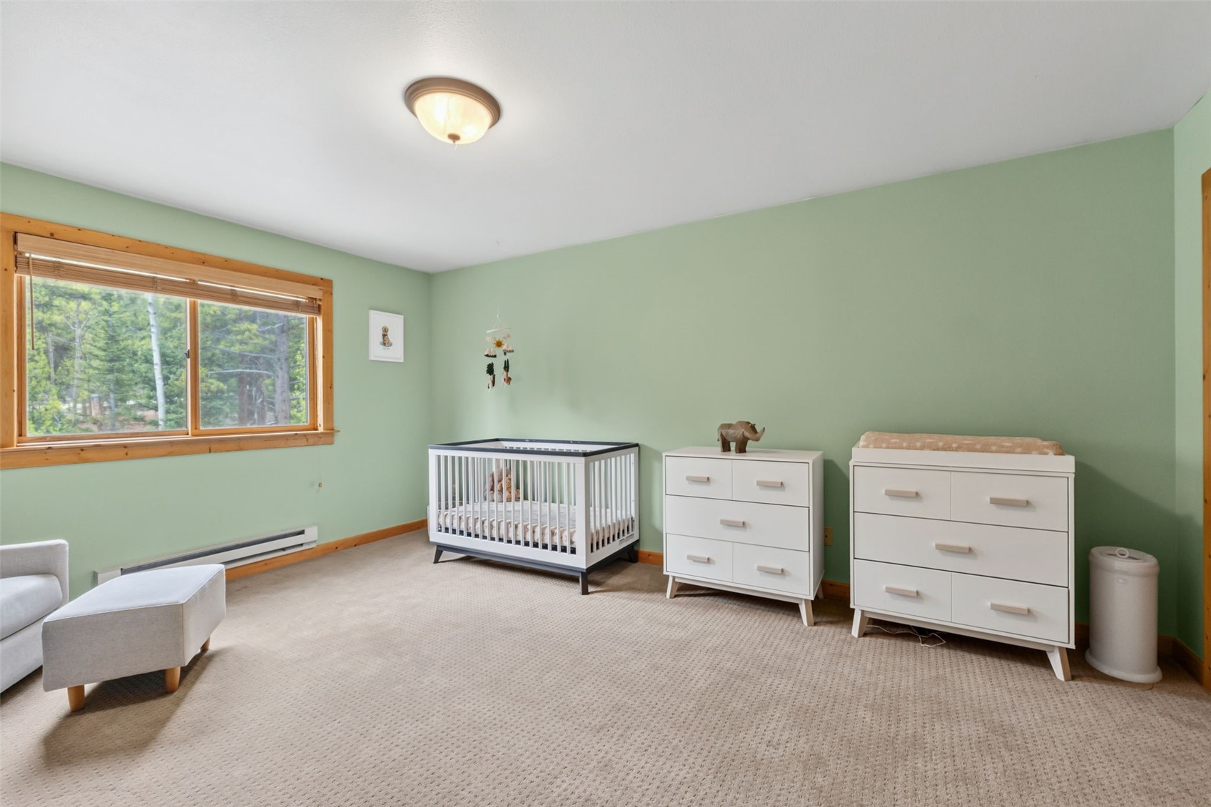 366 Quartzville Road Alma CO 80420