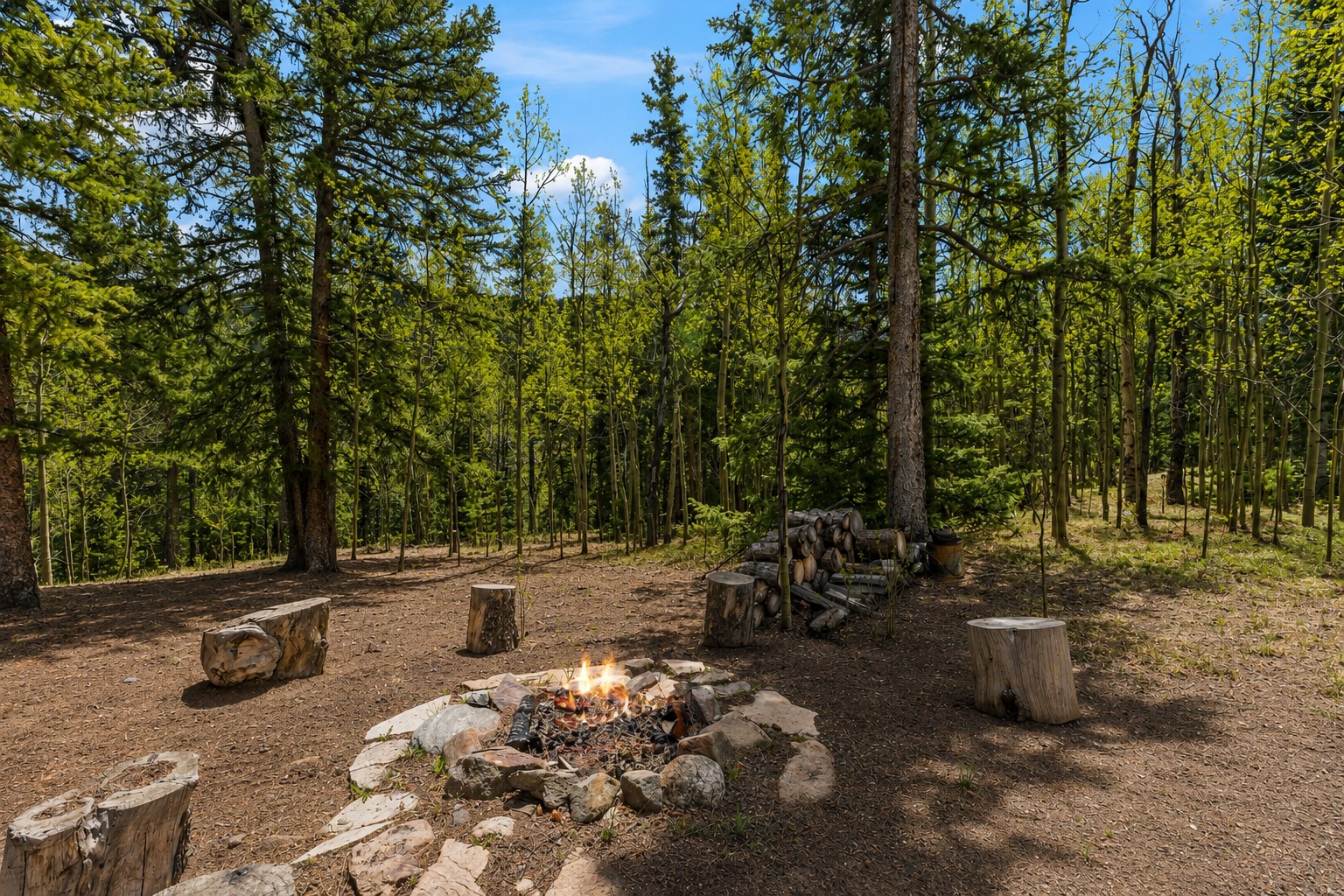 366 Quartzville Road Alma CO 80420