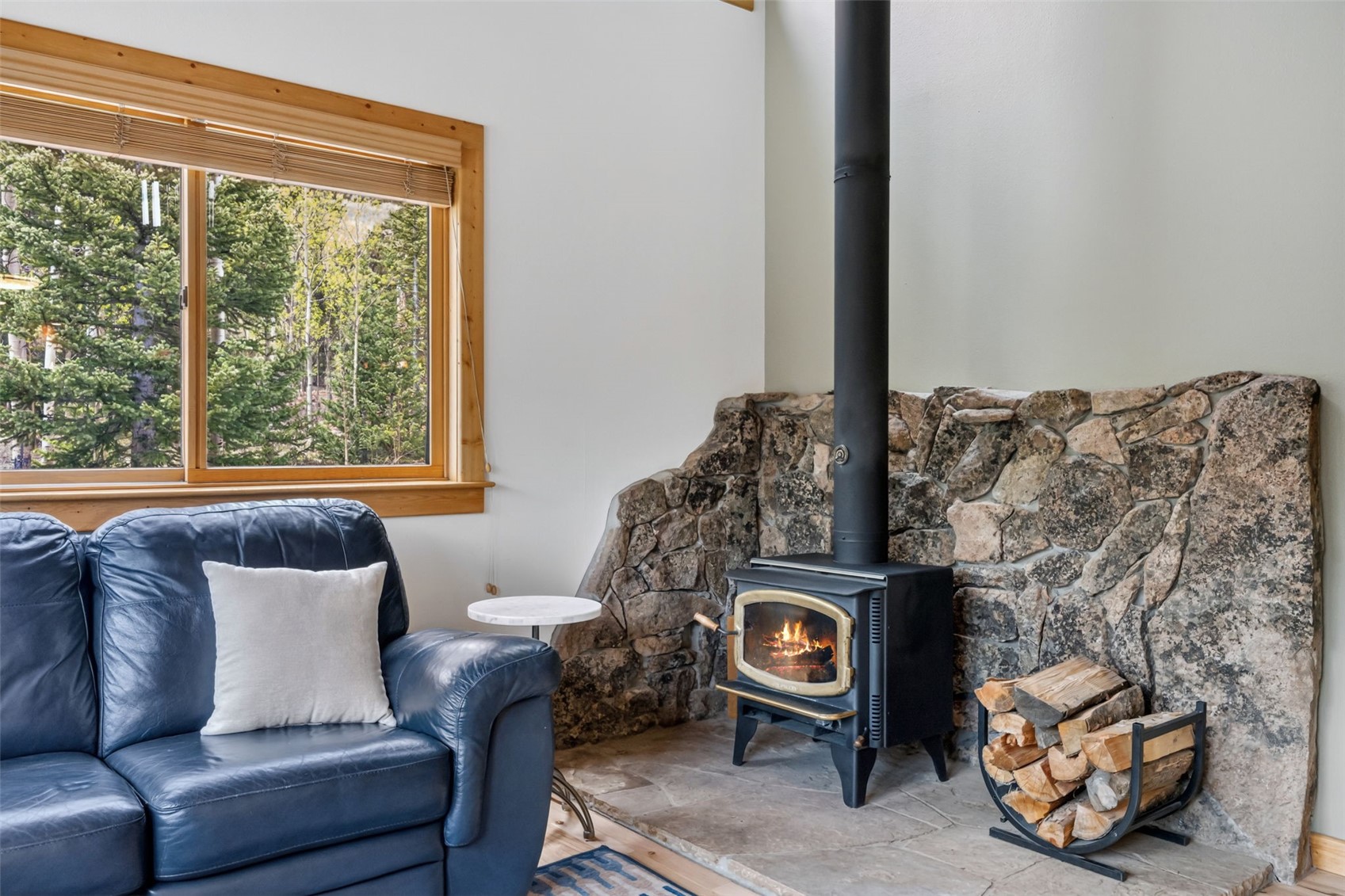 366 Quartzville Road Alma CO 80420