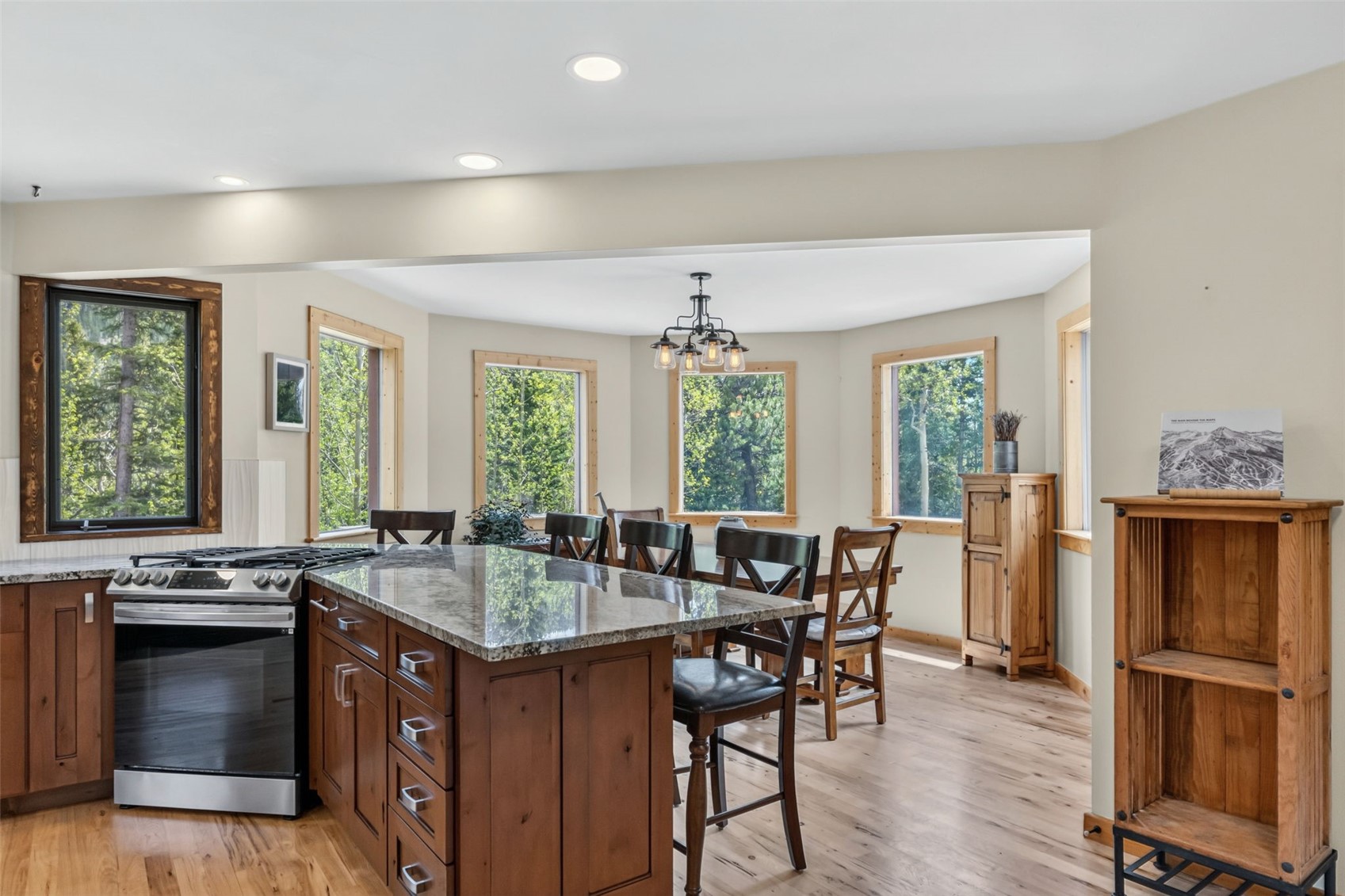366 Quartzville Road Alma CO 80420