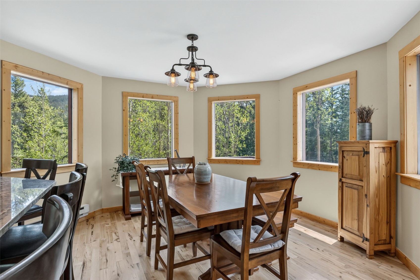366 Quartzville Road Alma CO 80420