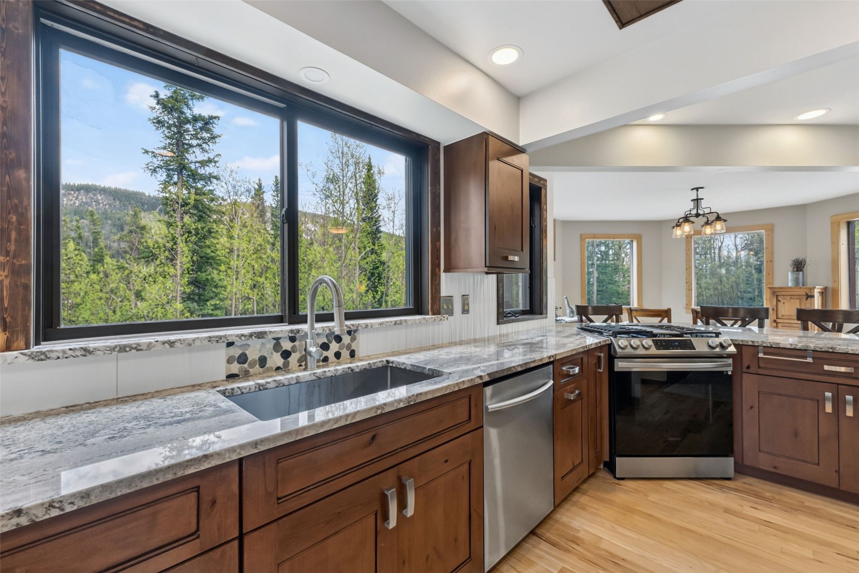 366 Quartzville Road Alma CO 80420