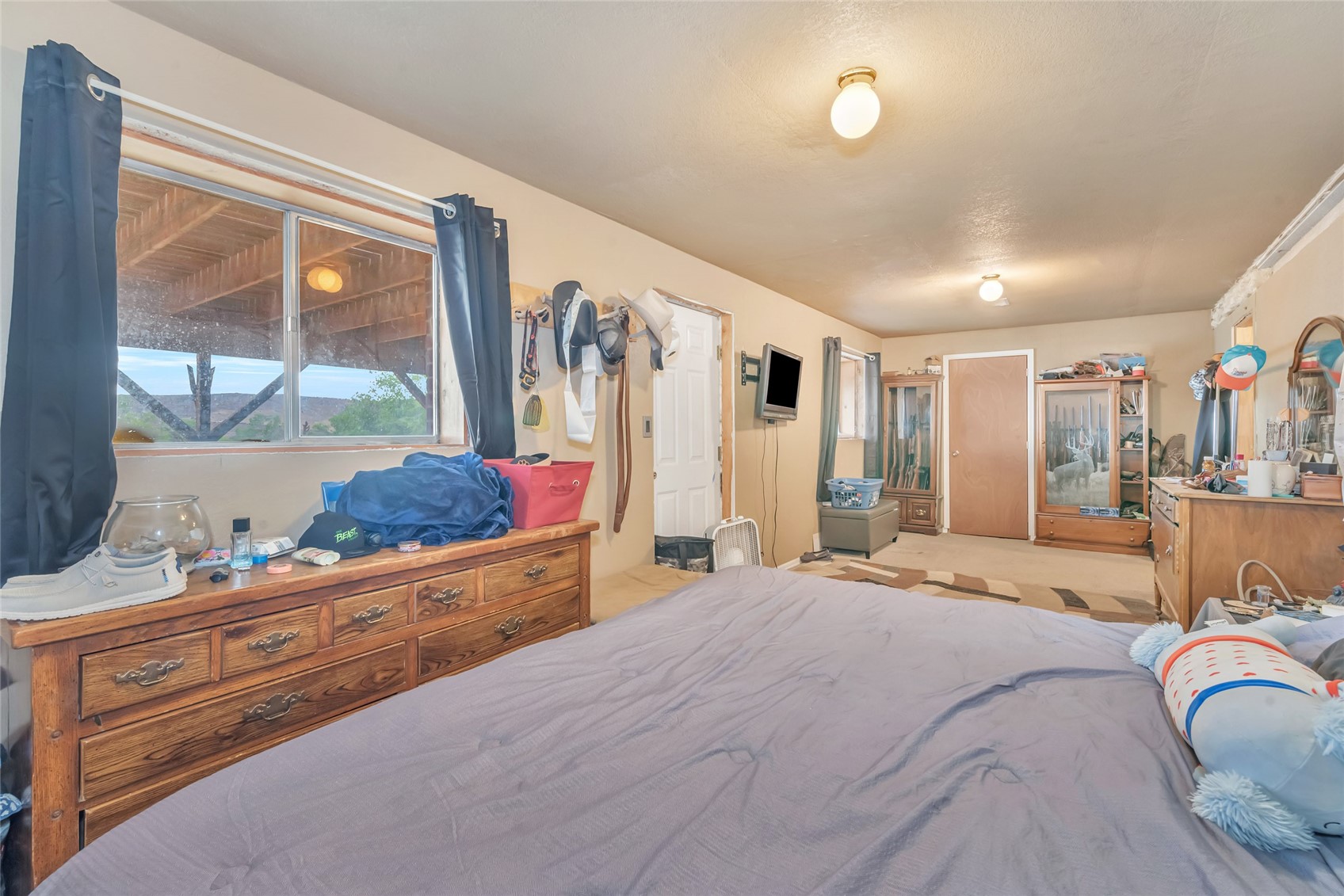 330 S Walnut Street Hayden CO 81639