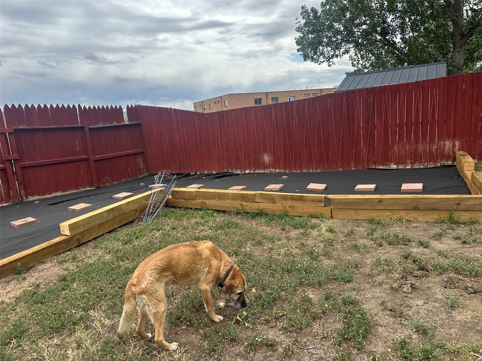 1184 Crest Drive Craig CO 81625