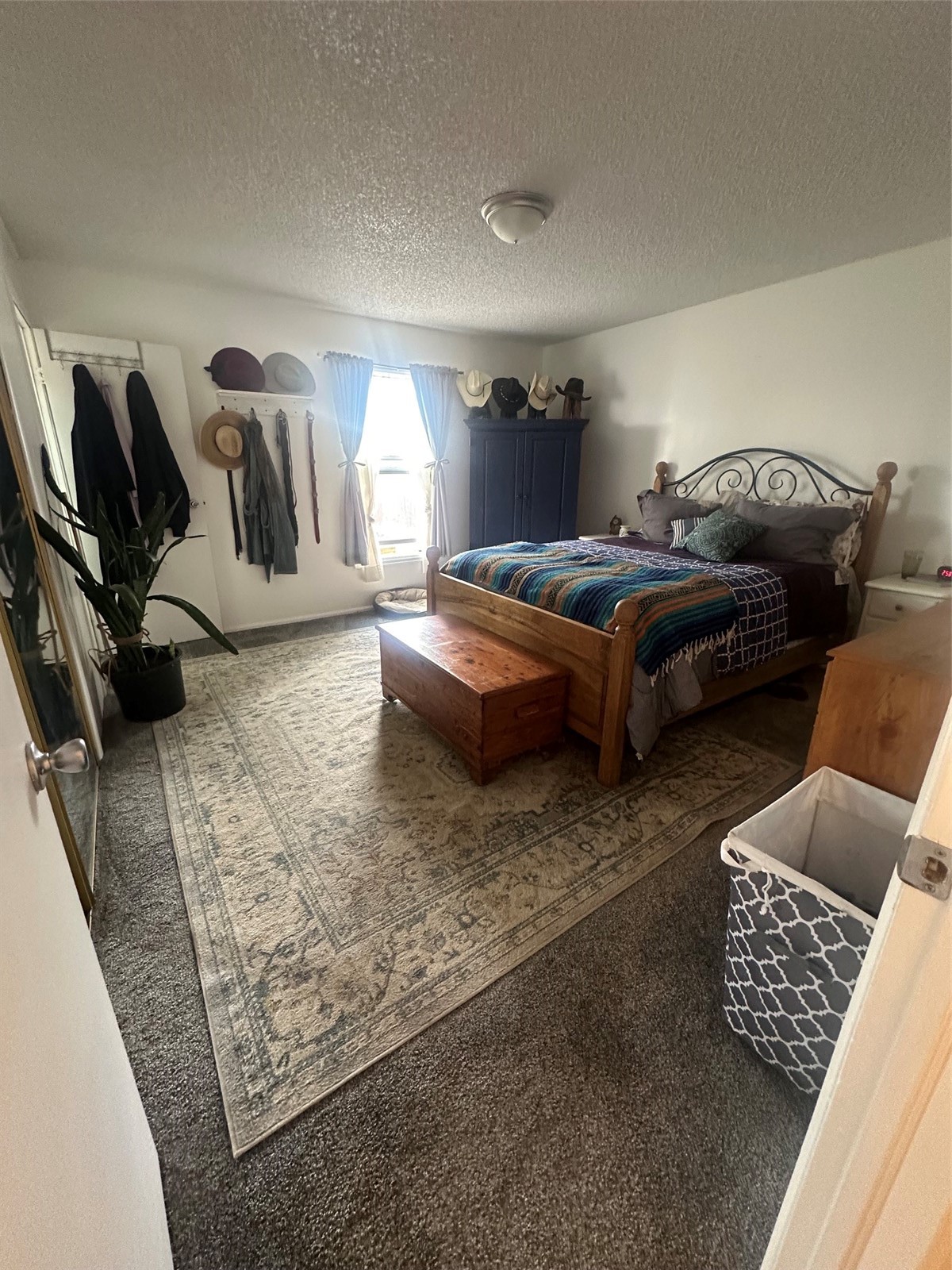 1184 Crest Drive Craig CO 81625