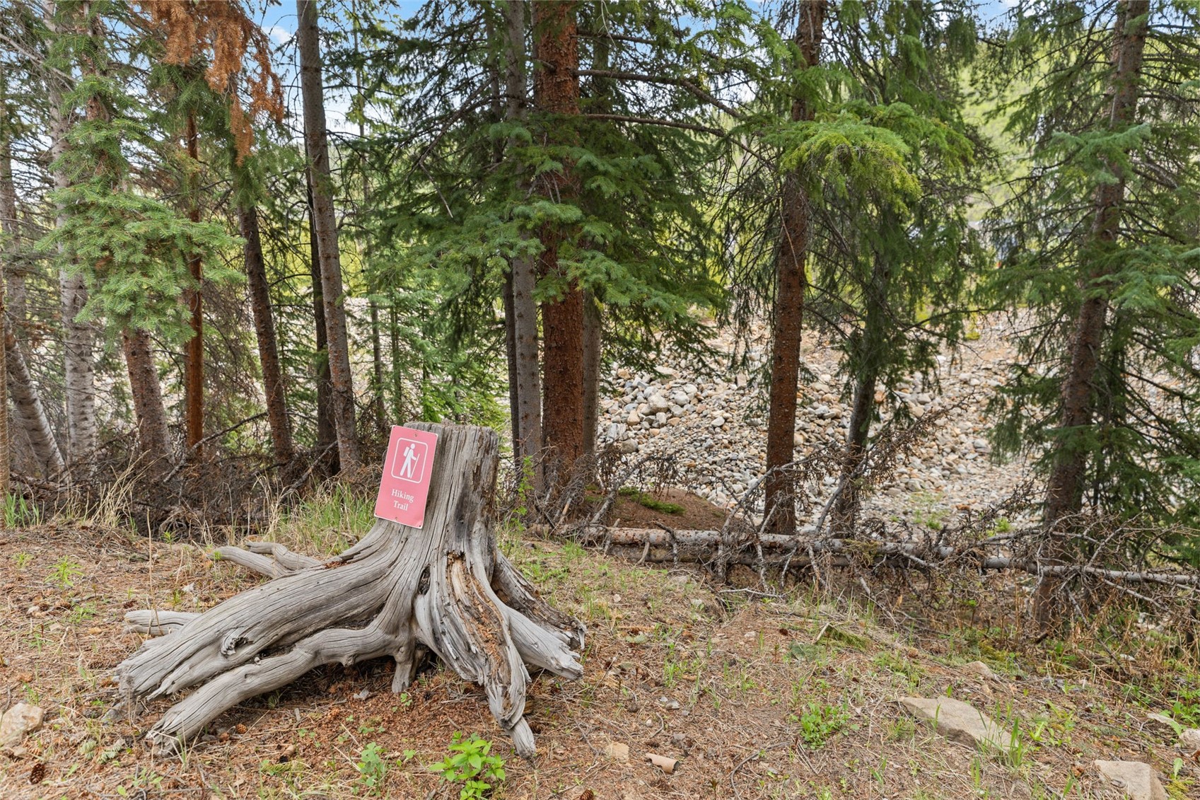 861 High Point Drive Breckenridge CO 80424