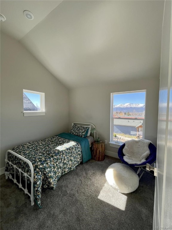 1311 Grand Review Drive Leadville CO 80461