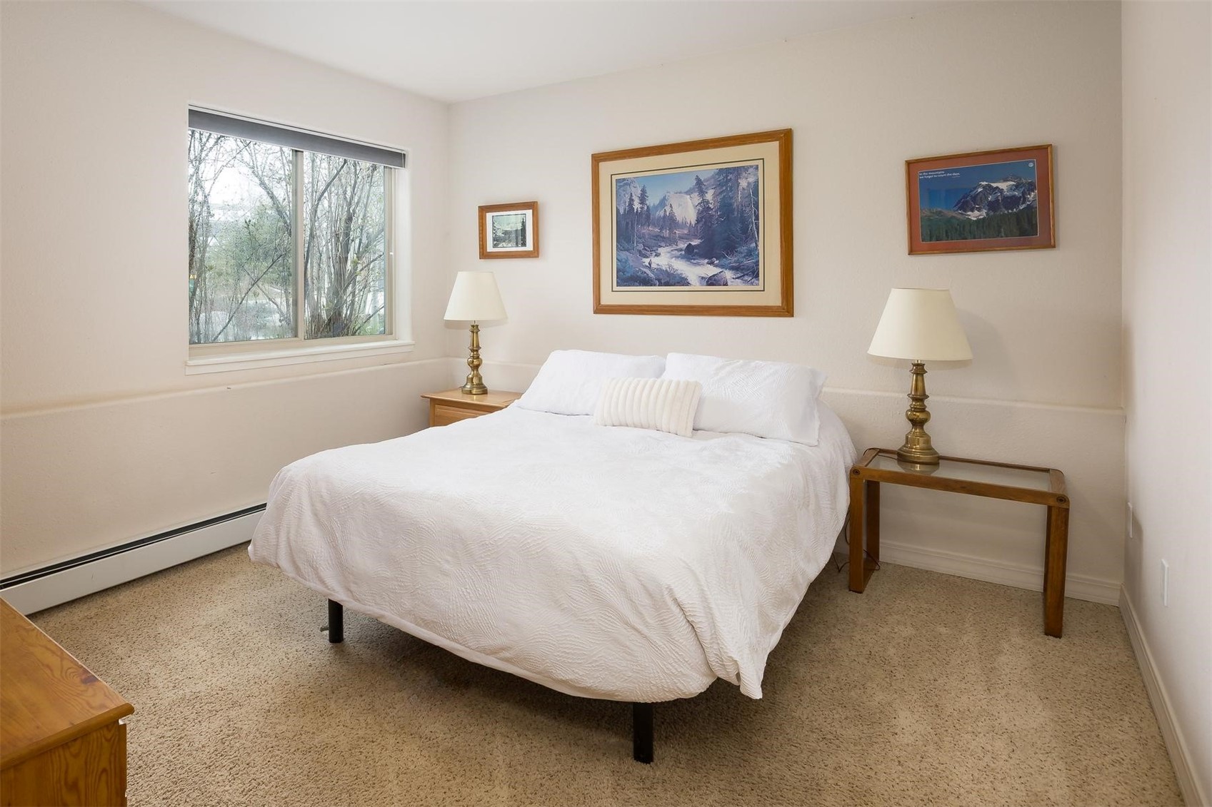 303 Willow Lake Court Silverthorne CO 80498