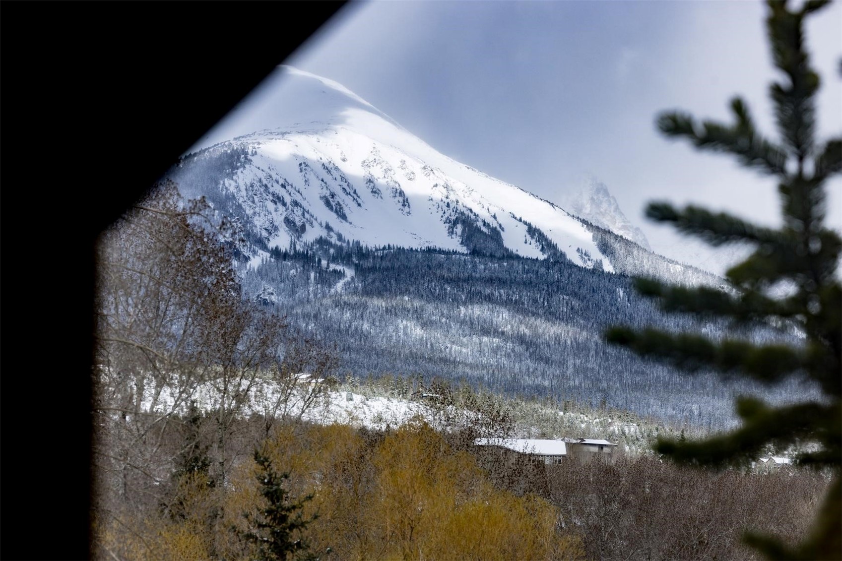 303 Willow Lake Court Silverthorne CO 80498