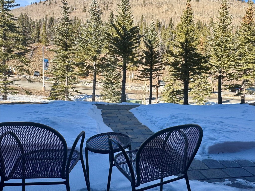 172 Beeler Place Copper Mountain CO 80443