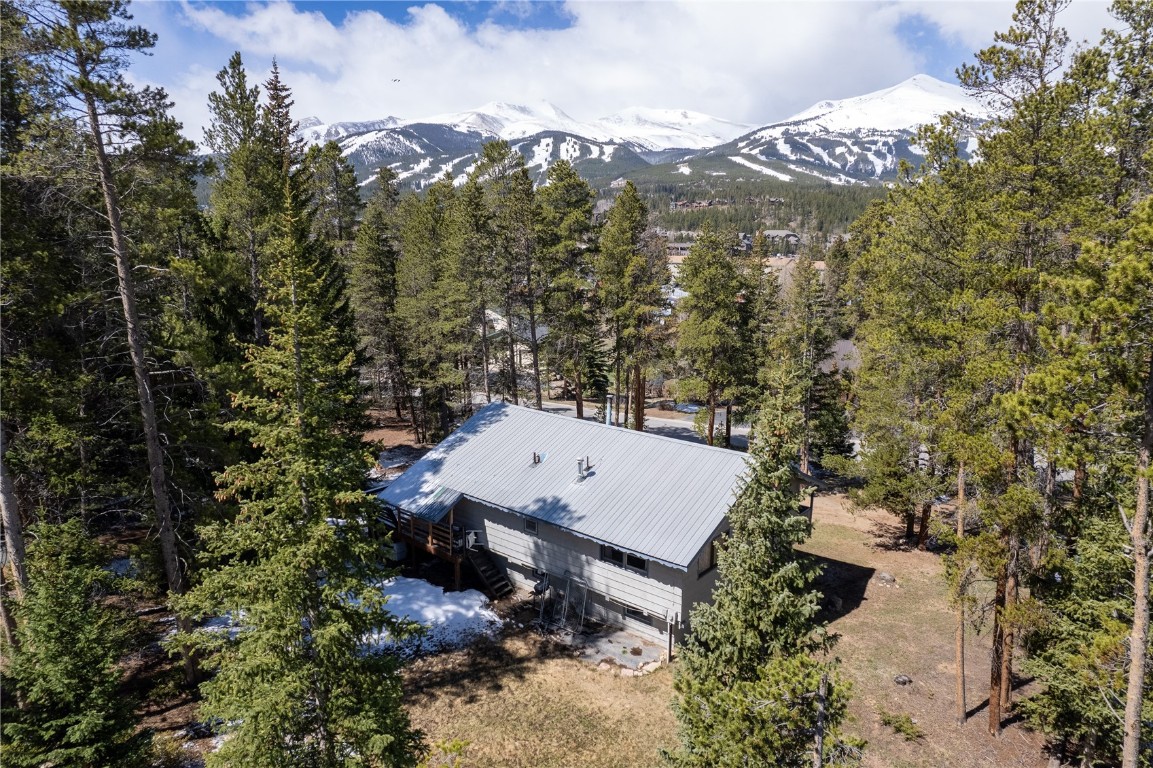 212 Briar Rose Lane Breckenridge CO 80424