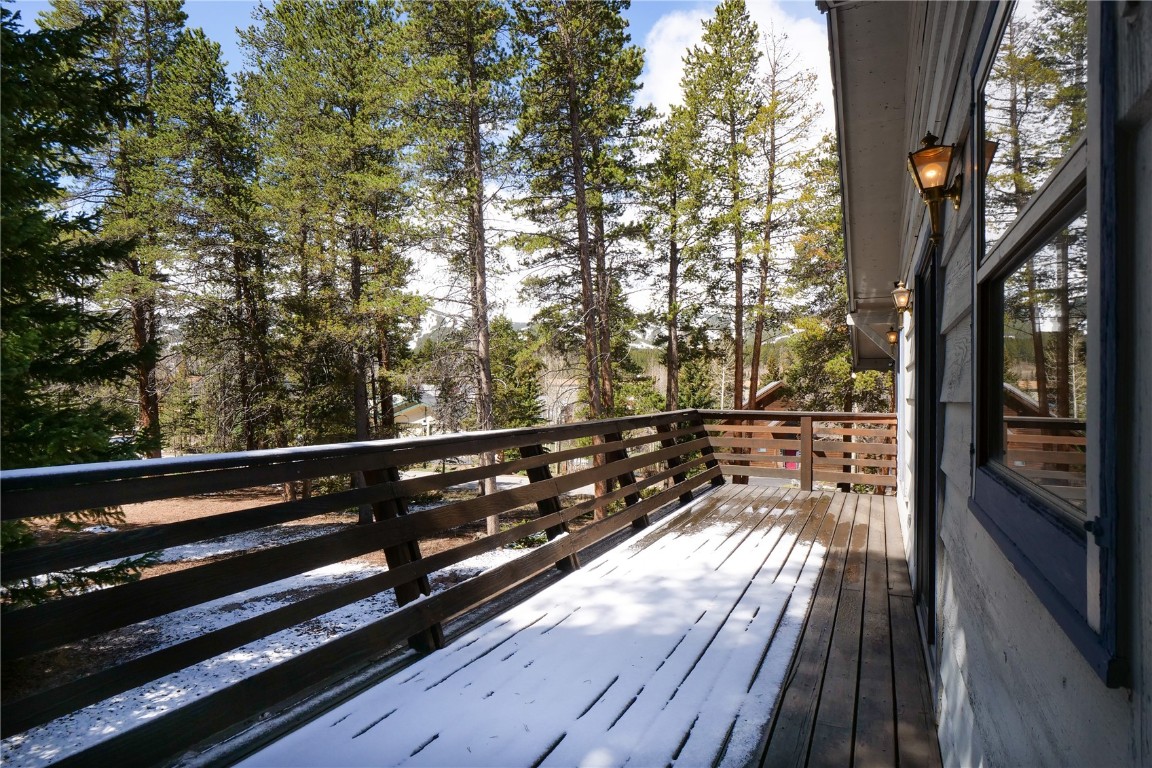 212 Briar Rose Lane Breckenridge CO 80424