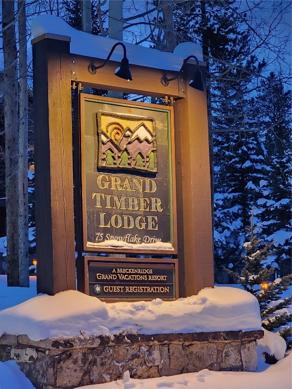 75 Snowflake Breckenridge CO 80424