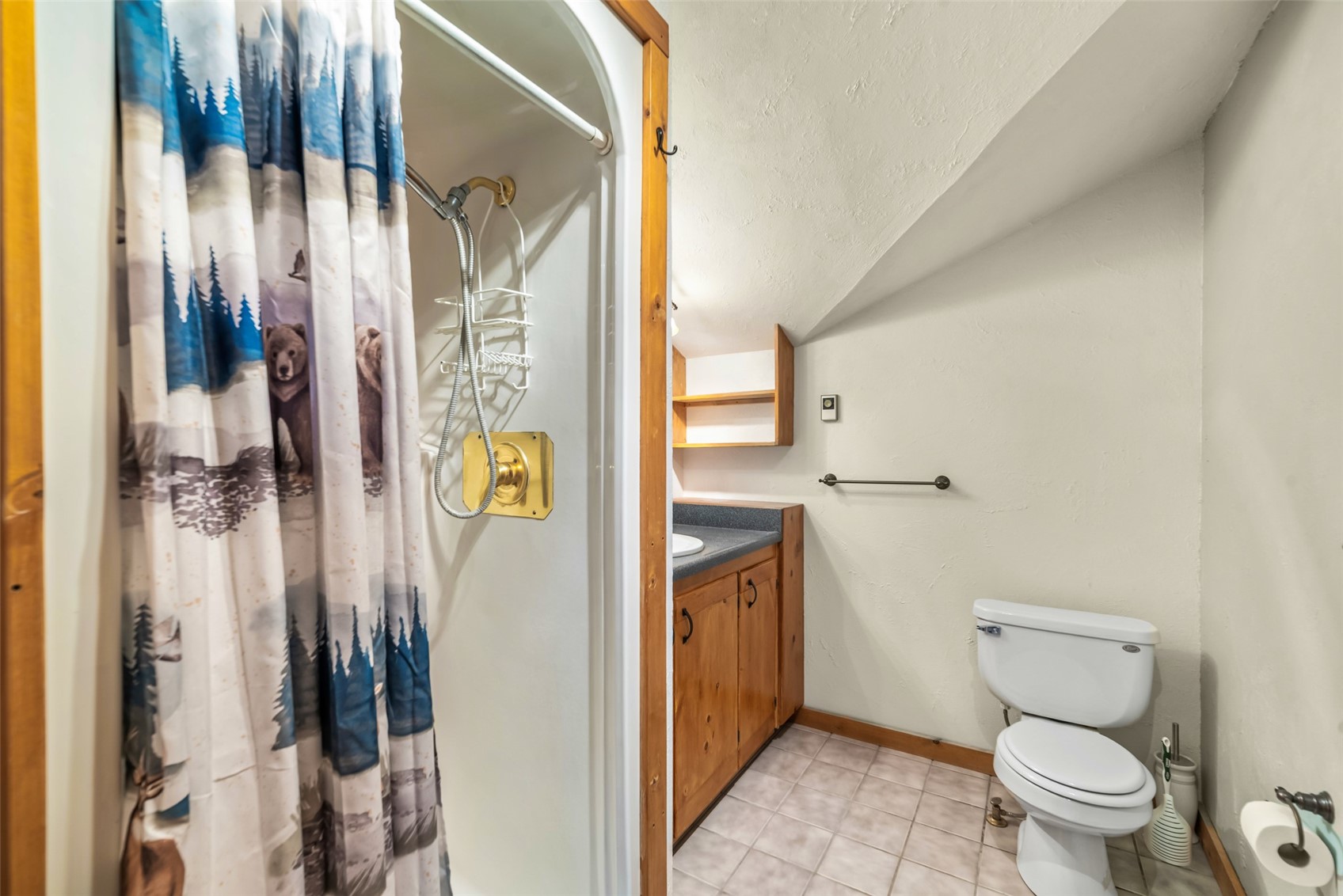 1305 Lakeside Drive Fairplay CO 80440