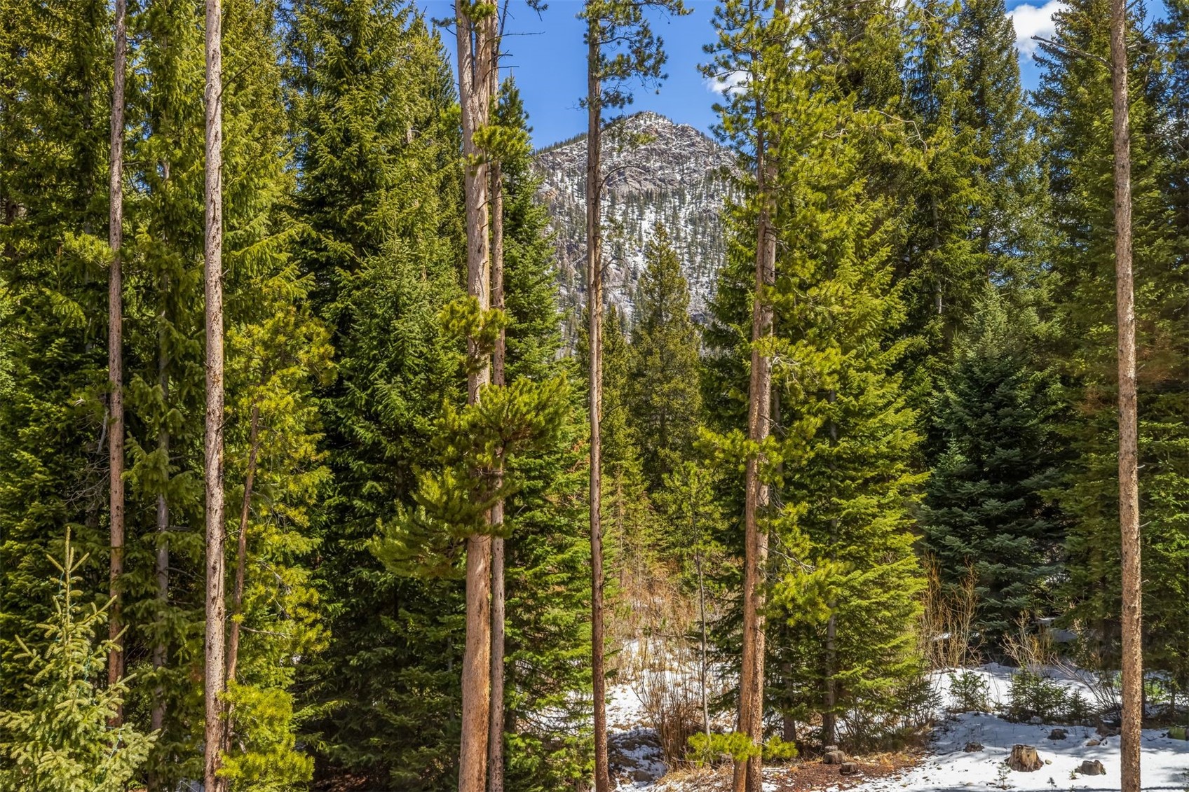 99 Independence Lane Keystone CO 80435