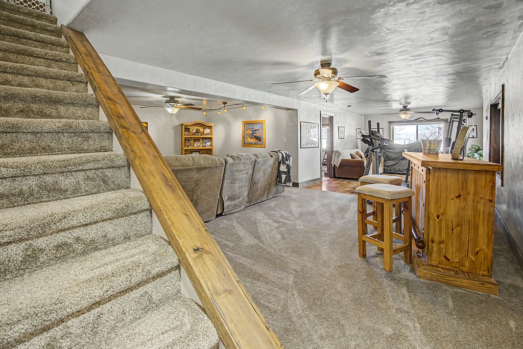 270 Harvest Drive Hayden CO 81639