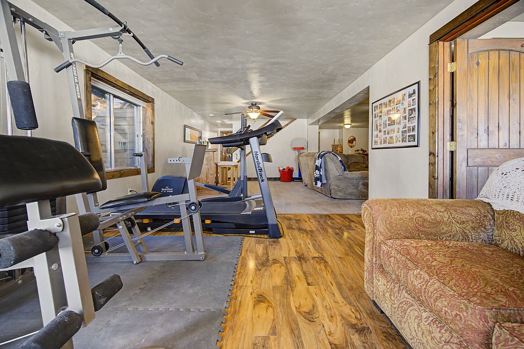 270 Harvest Drive Hayden CO 81639