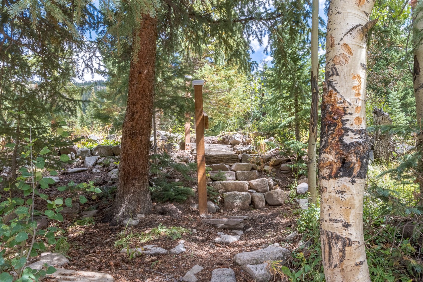 291 Doris Drive Breckenridge CO 80424