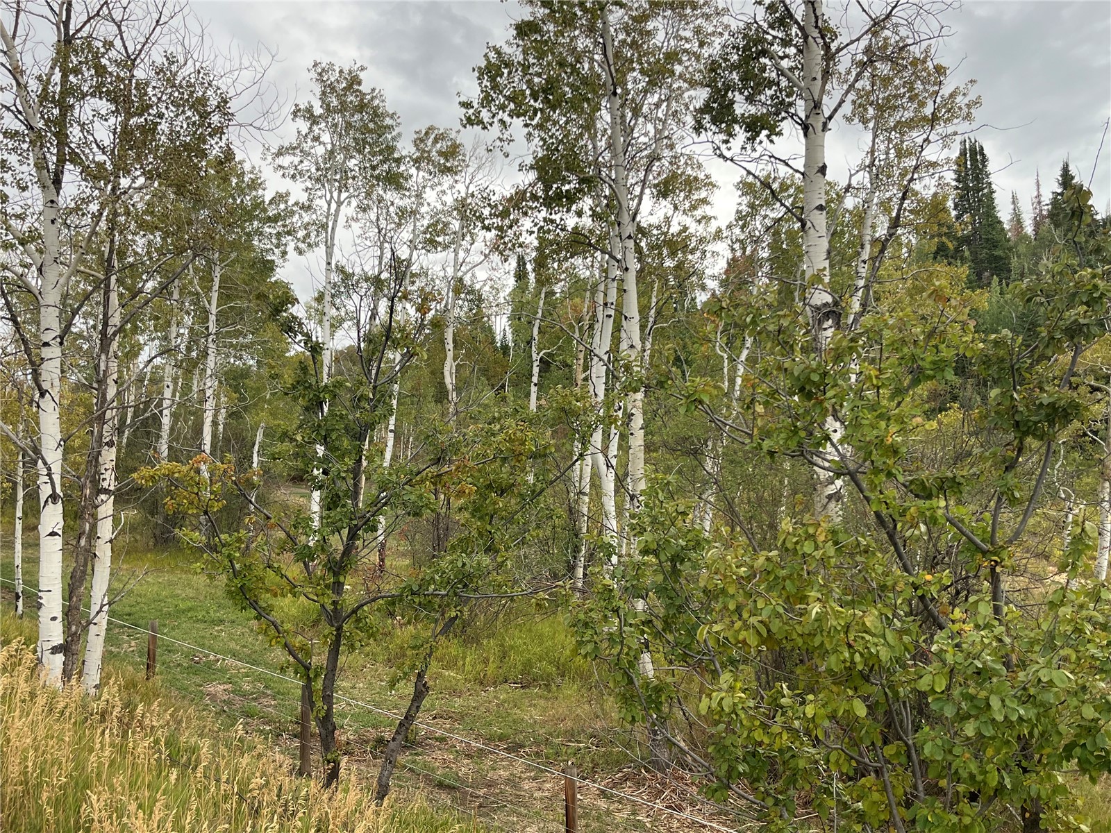 27300 County Road 43#a Steamboat Springs CO 80487