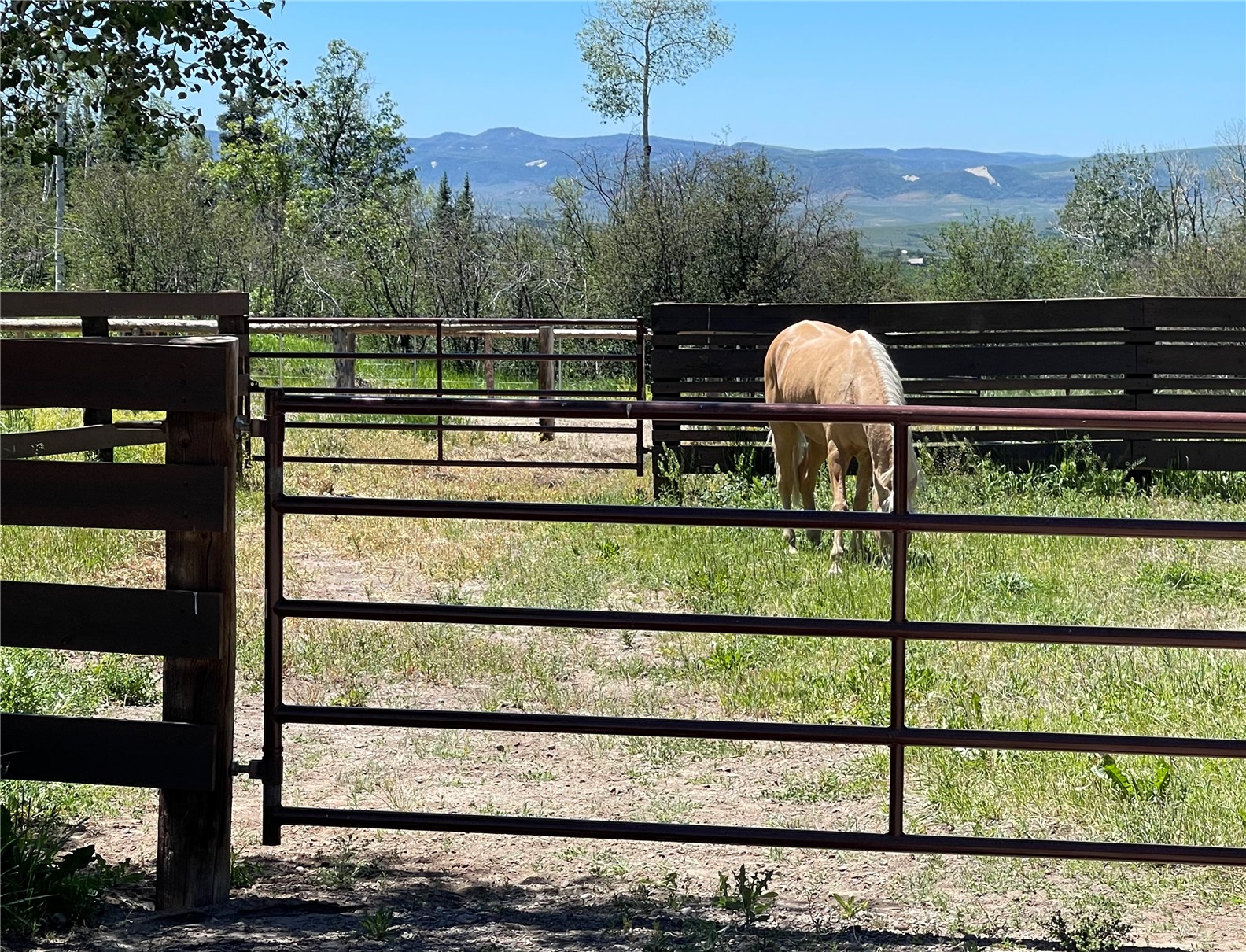 27300 County Road 43#a Steamboat Springs CO 80487