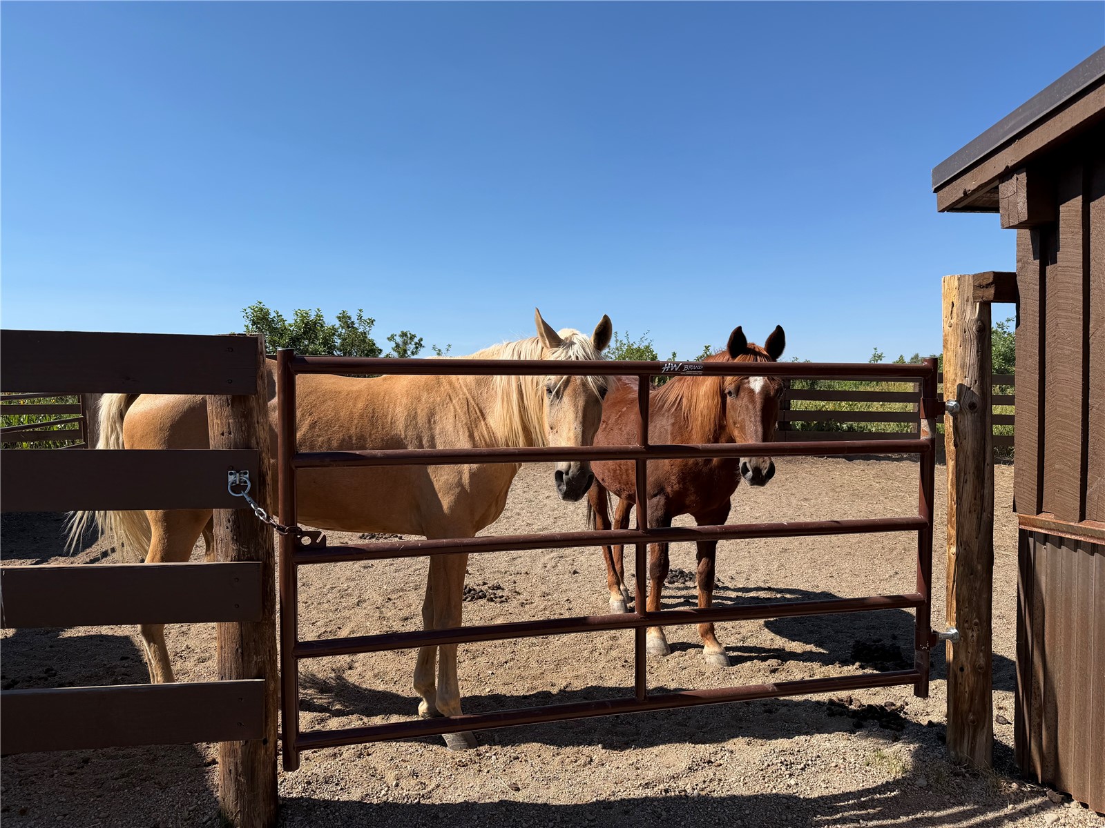 27300 County Road 43#a Steamboat Springs CO 80487