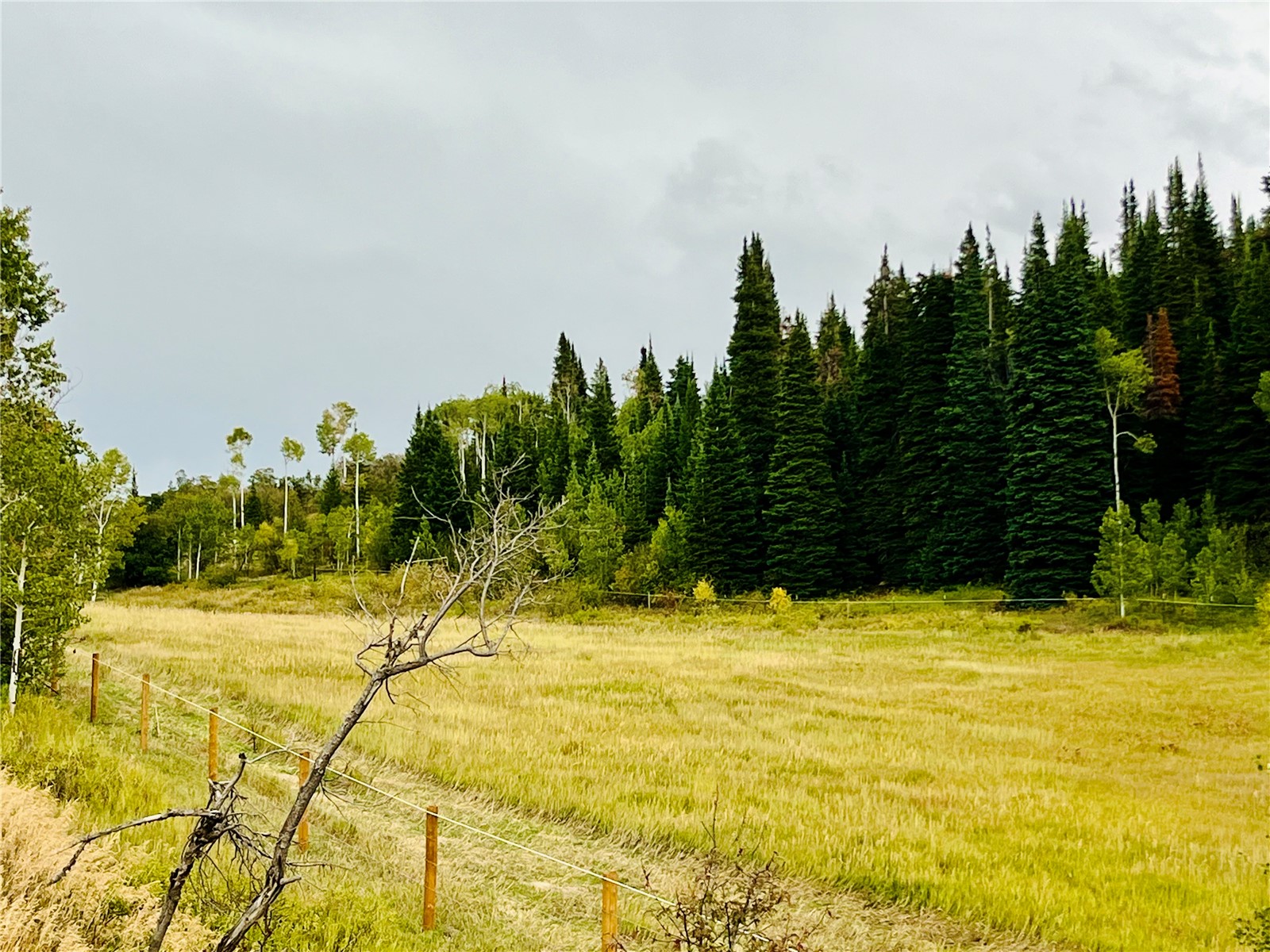 27300 County Road 43#a Steamboat Springs CO 80487