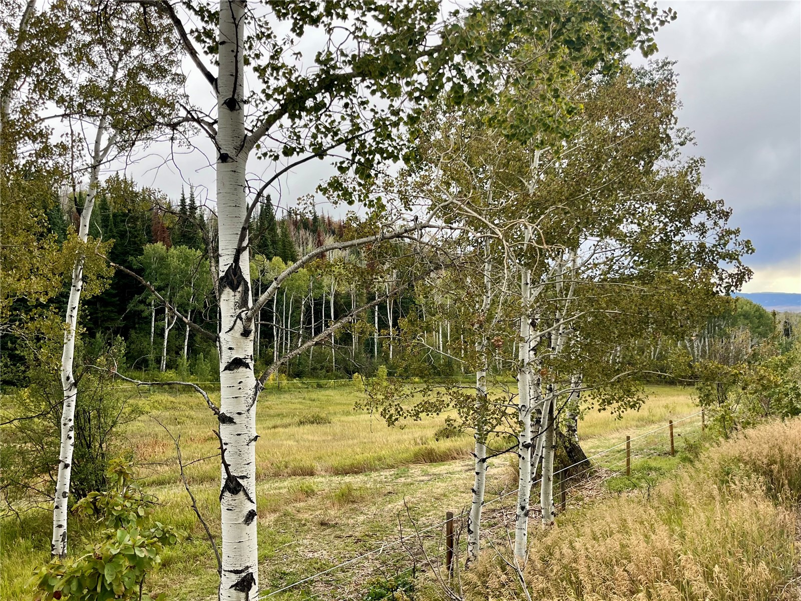 27300 County Road 43#a Steamboat Springs CO 80487