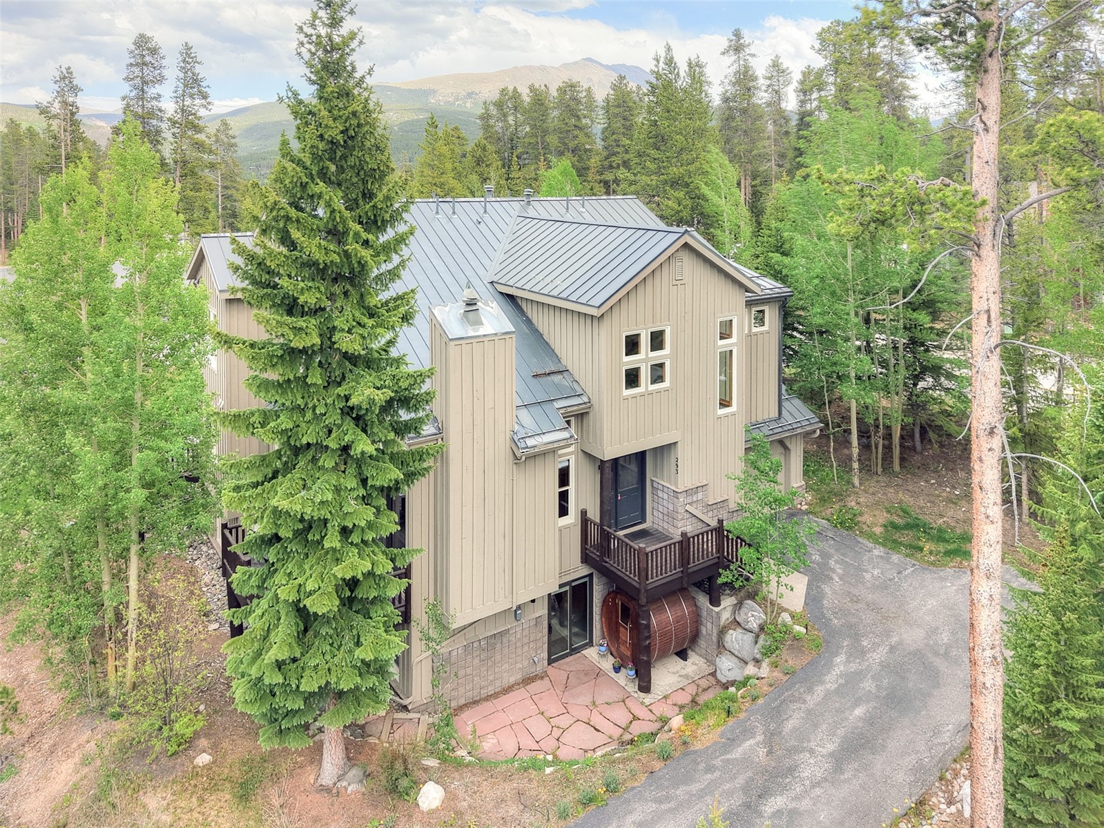 293 Settlers Drive Breckenridge CO 80424