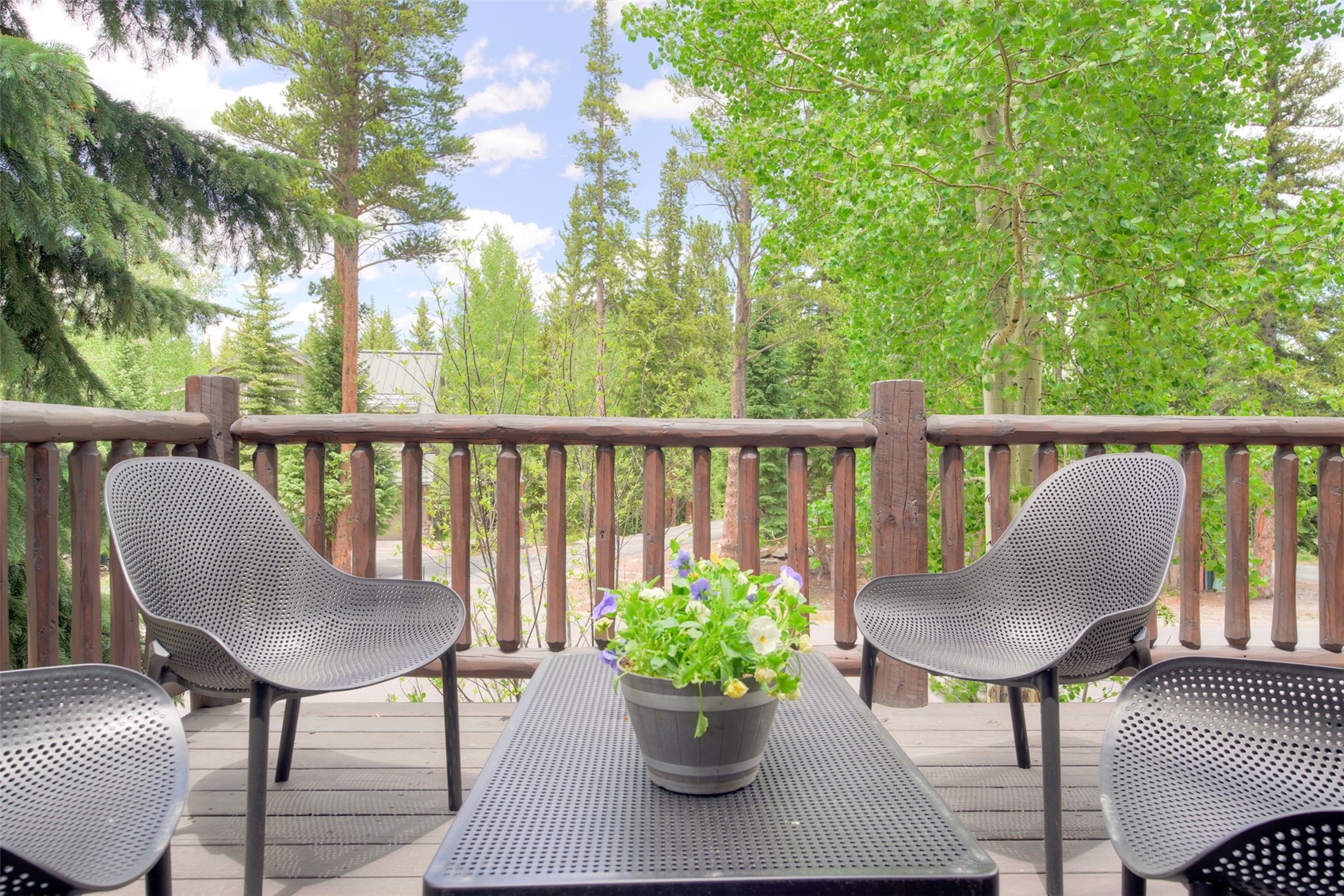 293 Settlers Drive Breckenridge CO 80424