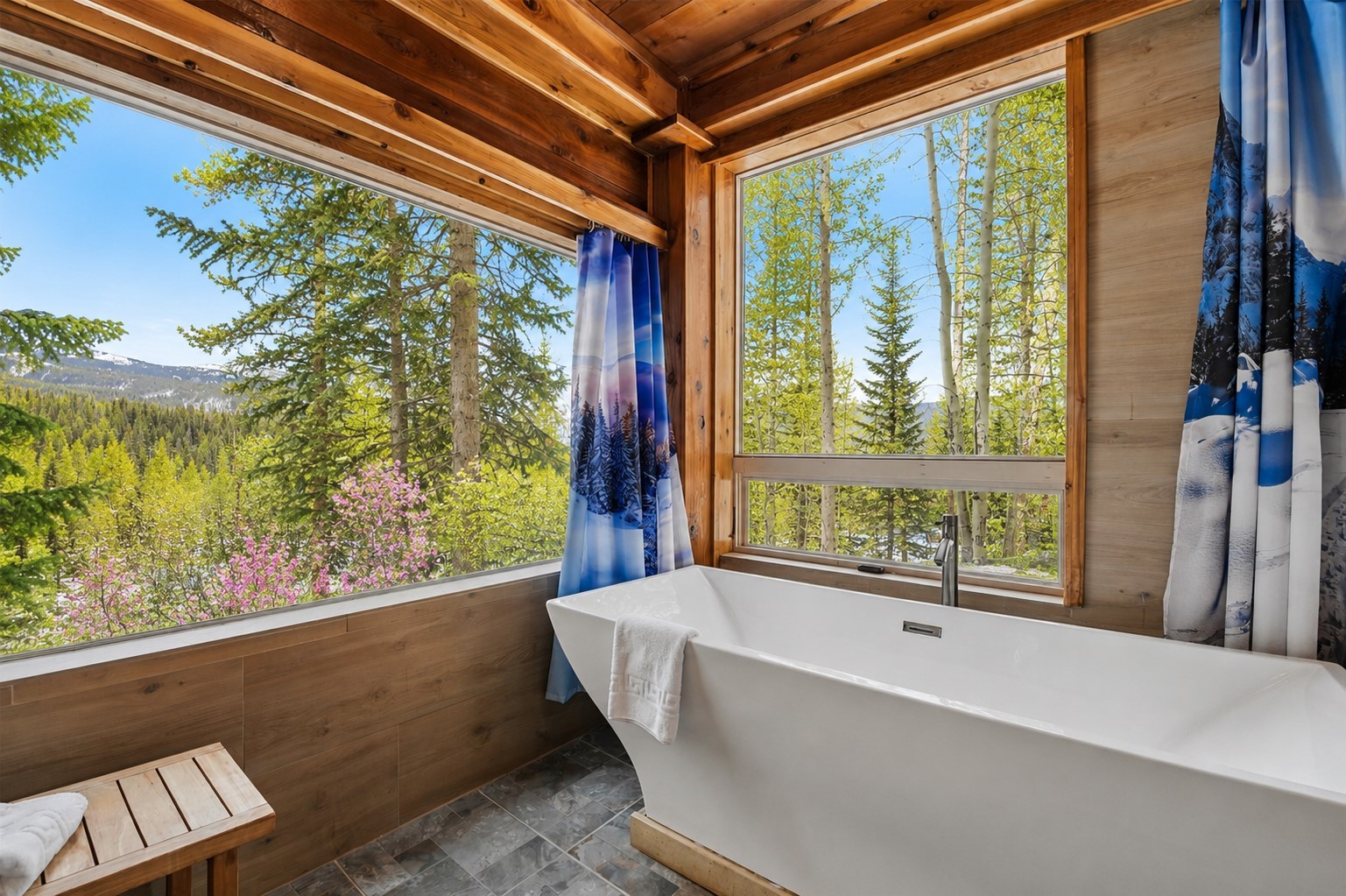 655 White Cloud Drive Breckenridge CO 80424