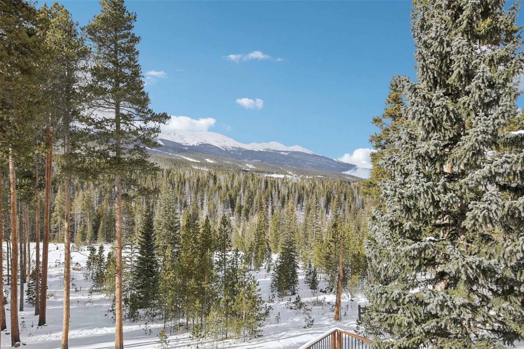 655 White Cloud Drive Breckenridge CO 80424