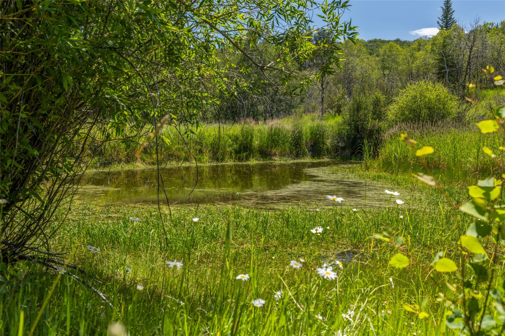 29560 Hinton Lane Oak Creek CO 80467