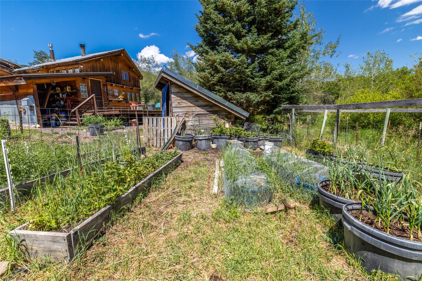 29560 Hinton Lane Oak Creek CO 80467