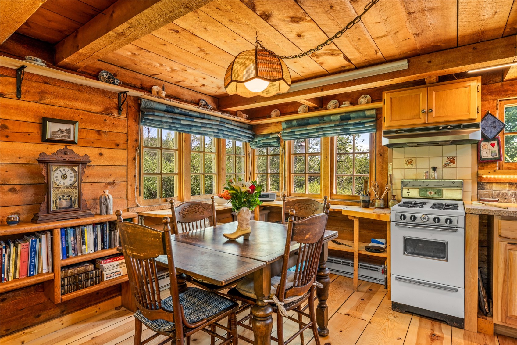 29560 Hinton Lane Oak Creek CO 80467