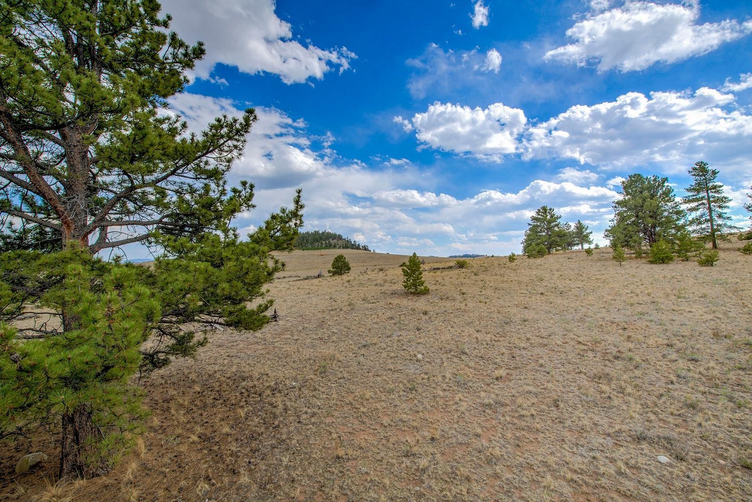 192 Maricopa Trail Hartsel CO 80449