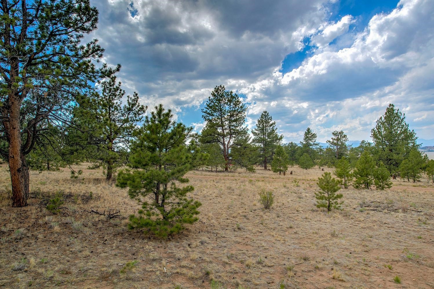 192 Maricopa Trail Hartsel CO 80449