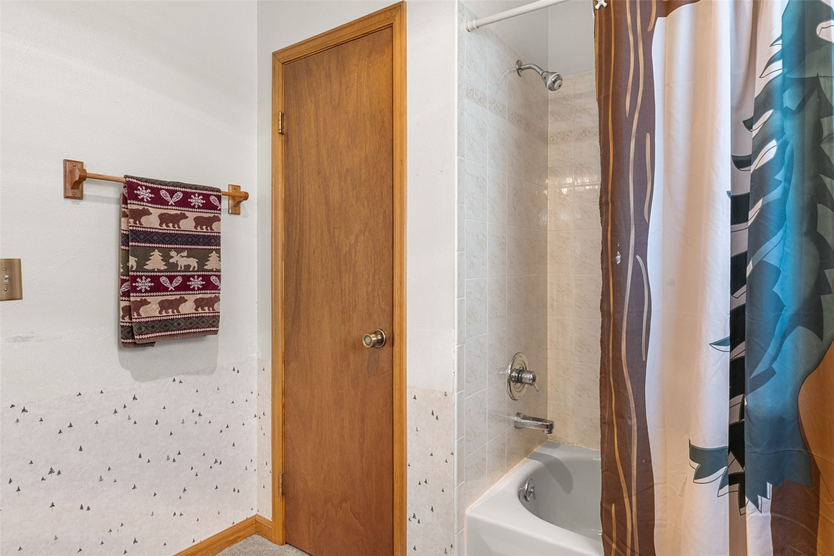 408 Foxtail Lane Fairplay CO 80440